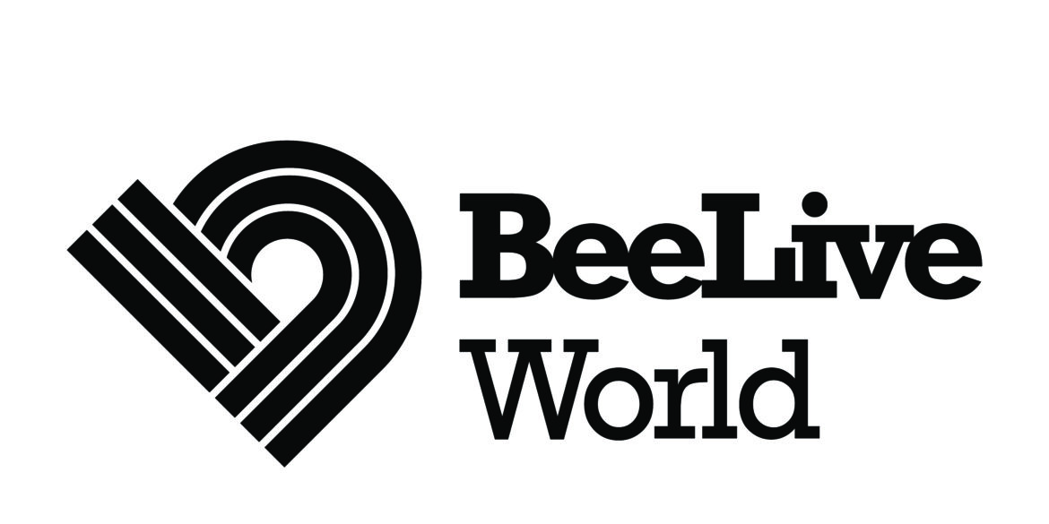 Dj Bee
